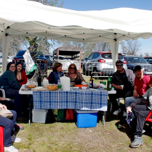 Almendro en flor 2026 (20)